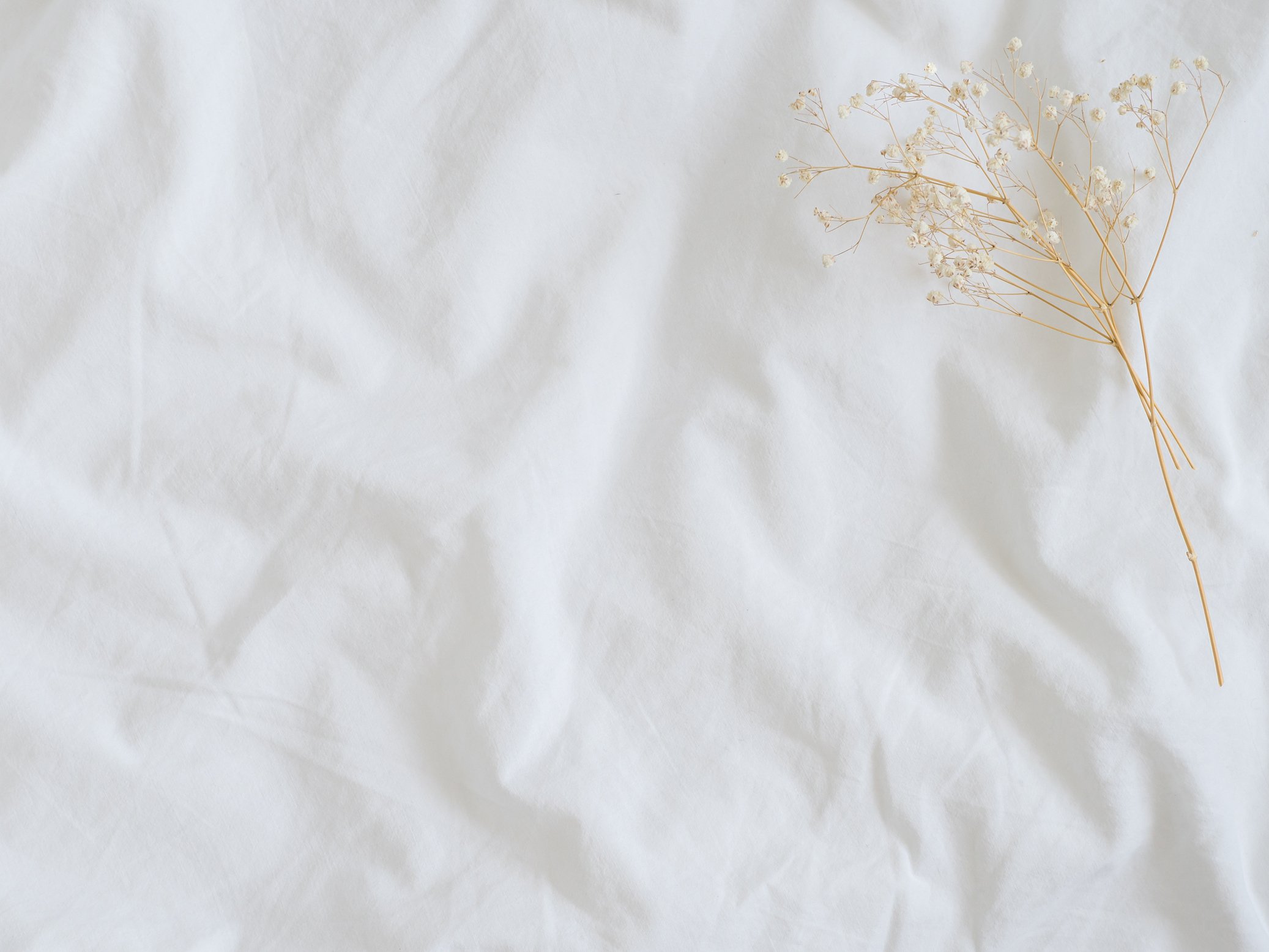 Aesthetic Bed Sheet and Dried Flower Background